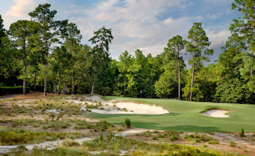 Pinehurst No. 2 with native sand and longleaf pines